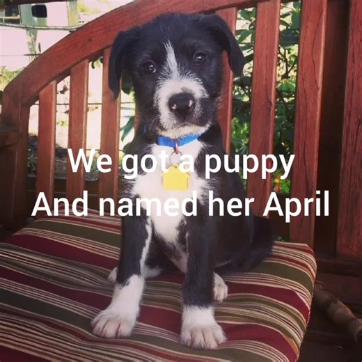 standingback on TikTok