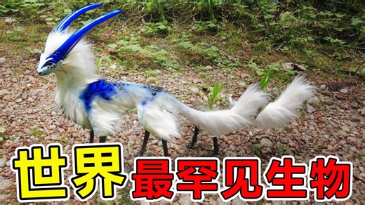 世界上“最罕见”的10大生物#奇闻趣事 #涨知识 #科普