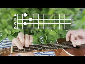 Jack Stauber - Buttercup // Ukulele Tutorial