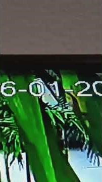 Mack LR McNeilus ZR, NewWay Peterbilt 520 & Labrie Automizer Sideloader Garbage Trucks