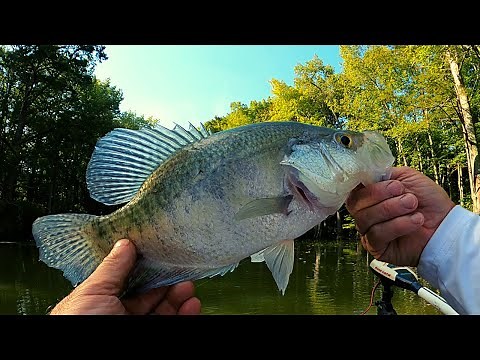 "Early fall Crappie fishing"
