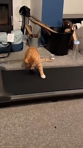 111K views · 614 reactions | Reader's Digest on Reels | Facebook