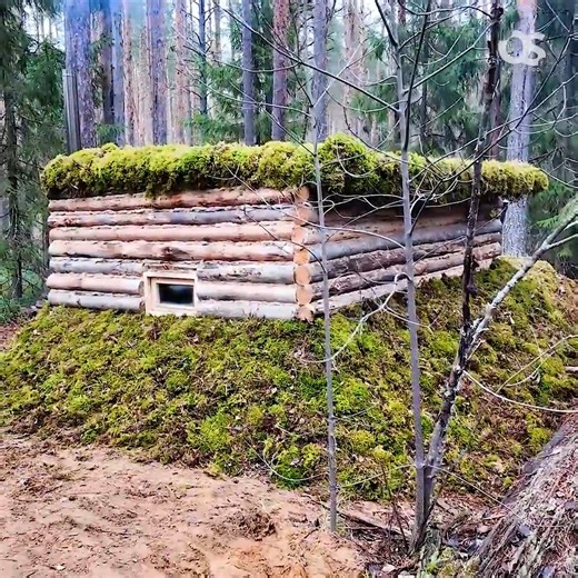 Mountain Cabins on Reels