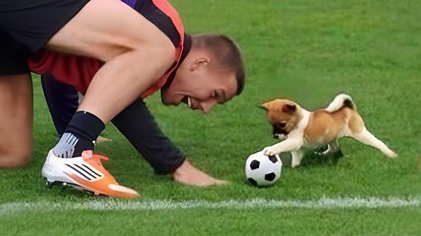 When Your Dog Is Better at Sports Than You