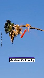 Workers Got Lucky | Monica Brant