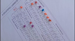 38K views · 336 reactions | Si estas pensando algun terreno para construir, conoce la Organización UNEFA ellos tienen el lote y el material para un pie de casa. Tellefono: 777 376 7880 | Felix Fox | Facebook