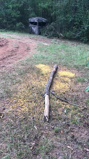 Travis T-Bone Turner (@tboneoutdoors1)’s videos with original sound - Travis T-Bone Turner