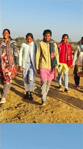 🌿🍃 Maya Maya Hoge Song🌿🍃