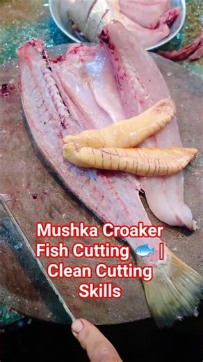 Mushka Croaker Fish Cutting 🐟 #CroakerFish #FishCutting #SeafoodShorts #FishMarket #KnifeSkills