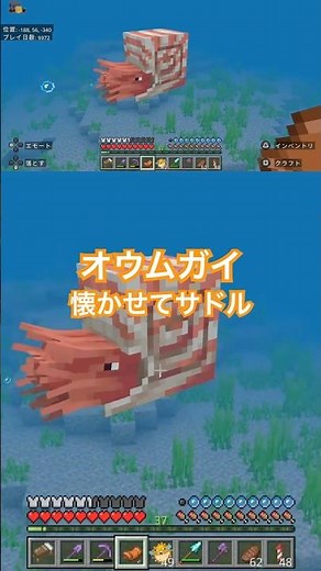 [Minecraft] Here's how to feed, tame, and saddle a nautilus. #Minecraft #Nautilus #Minecraft #Min...