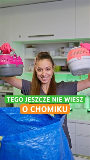 Bohater czy panikarz?🐹 Które określenie bardziej pasuje do Twojego zwierzaka?🙃#chomiki #weterynarz
