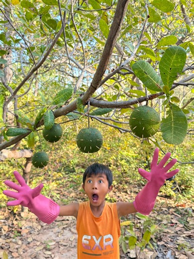 Survival Skills: SMART idea and USEFUL in Forest #bushcraft #camping #outdoors