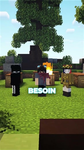 ⬆️ Rejoins le Discord en bio - Minecraft doit réagir, mais mon serveur minecraft est là !