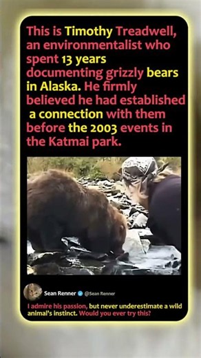 The Man Who Lived With Bears! 🐻 #Grizzly #Nature #Wildlife