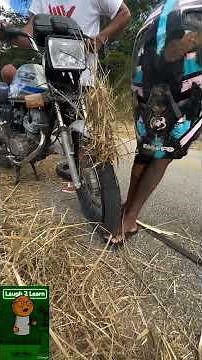 😂 Funny Inventions 2025 | Try Not to Laugh Challenge #Shorts | Technoloogia 😂 | Part #0000004