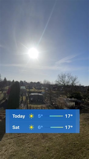 Unmatched Bulletproof Dance Moves