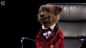 32K views · 196 reactions | The moment we've all been waiting for has arrived... Hacker T Dog is on BBC Mastermind, tonight! His specialist subject? The Pet Shop Boys, obvs...  | CBBC | Facebook