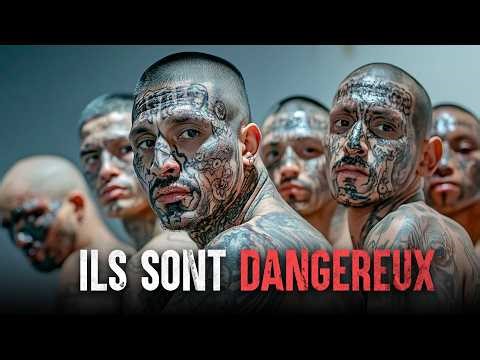 These are the most dangerous gangs in the world