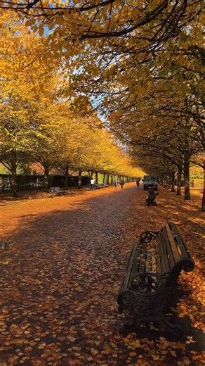 Regent’s Park, London 🧡🍂 #london #unitedkingdom #travel #regentspark #fblifestyle | It's So London