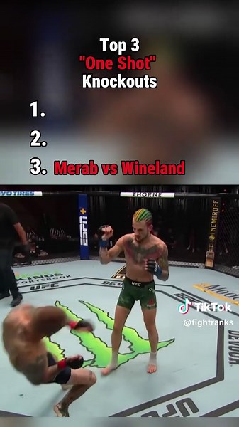 Best One Shot Knockouts #ufc #mma #knockout #top5 #bodyshot