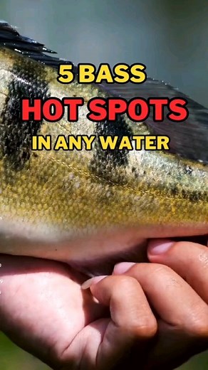 fishingtips.101 on Instagram: "Best guide to catching largemouth bass! 5 hotspots to find largemouth bass in any water. Bass fishing tips and tricks for any water. Use this guide to catch largemouth bass. ------------------ Dive into a world of unique fishing tips, hilarious moments, and captivating fishing videos on our Instagram page! 🎣 Are you a fishing enthusiast? Hit that "Follow" button now to catch all the amazing highlights from our fishing adventures! 🌊📸 Follow @fishingtips.101 for m