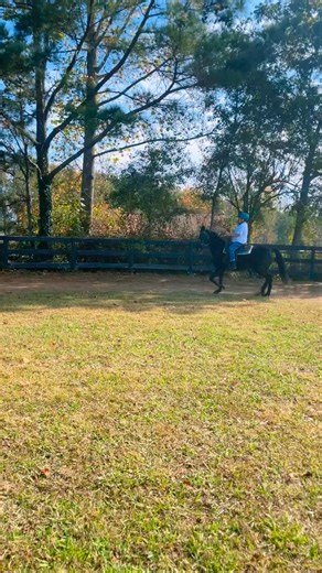 15 reactions · 4 comments | Racking machine! @ccrburkes5 is on fire! #Horses #horsebackriding #tennesseewalkinghorse | Callihan Equine | Facebook