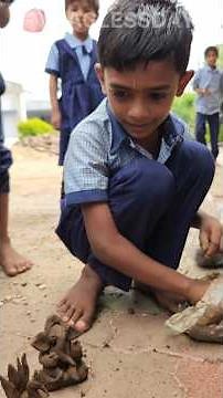 🪴 Clay Modelling Activity | Bagless Day Fun | #primaryschool #sandart #schoollife
