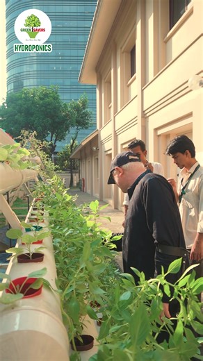 𝐂𝐨𝐦𝐩𝐥𝐞𝐭𝐞𝐝 𝐏𝐫𝐨𝐣𝐞𝐜𝐭 𝐔𝐩𝐝𝐚𝐭𝐞 📍 International School Dhaka (ISD), Bashundhara R/A 🌿 Hydroponic NFT System Setup for Student-Led Vegetable Production Want to set up a hydroponic system for your school, rooftop, or institution? Get your own Hydroponic NFT Setup with Green Savers’ expert design and installation support. Contact us today! 📞 01909110600, 01909110604 📧 hydroponics.greensavers@gmail.com #GreenSavers #HydroponicsBangladesh #NFTFarming #UrbanFarming #SchoolProjects #