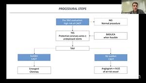 IVUS Assessment of Coronary Arteries at High Risk for Obstruction Following TAVR: The ICARO Study