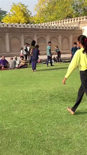 Funny Friends Flip Compilation