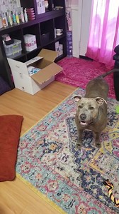 16K views · 445 reactions | OUR DOORS ARE CLOSING It is unfortunate,...