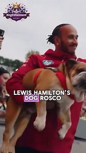 152K views · 5K reactions | Lewis Hamilton’s dog Roscoe in a coma  The F1 legend is devastated as his beloved bulldog Roscoe is fighting for his life. After being sedated for pneumonia checks, Roscoe’s heart stopped. Doctors revived him—but he’s now in a coma. “We don’t know whether he’ll wake up,” Hamilton said, staying by his side the whole time. Would you be able to handle this heartbreak? #LewisHamilton #Roscoe #F1 #PetLovers | Kingtretainment | Facebook