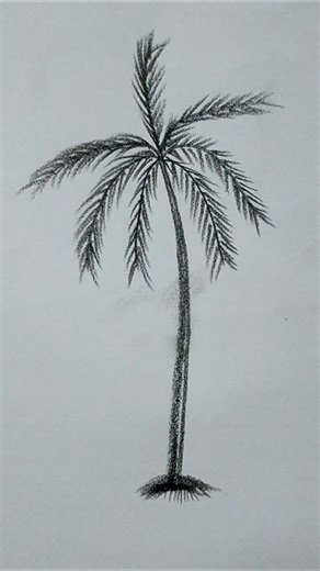 Simple Coconut Tree Sketch