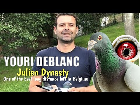 One of the Best Long Distance Loft in Belgium -YOURI DEBLANC - JULIEN DYNASTY