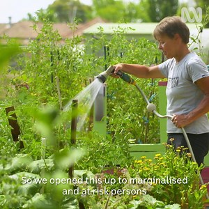 158K views · 3.4K reactions | What advice would Lou give to anyone wanting to start a #FoodIsFree movement in their own community: “Just do it – make a #foodisfree sign, whack a zucchini on your letterbox, and see what happens! 復 Ballarat “Food is Free” Laneway, founder Lou Ridsdale | Gardening Australia | Facebook