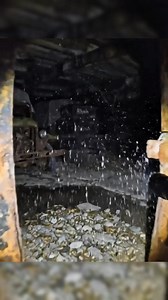 1.4M views · 15K reactions | WWII Bunker HIDDEN for 80 Years – Tanks, Guns & Ammo Everywhere!  #war #ww2 #romanempire #vikings #foryou #TreasureFound #warzone #lostcivilization #RealDiscovery #SecretDiscovery #guns #pistol #coin #AncientWeapons #HistoryShorts #OttomanEmpire #katana #palace #metaldetecting #metaldetector #ww1 #fblifestyle | Treasure Forest | Facebook