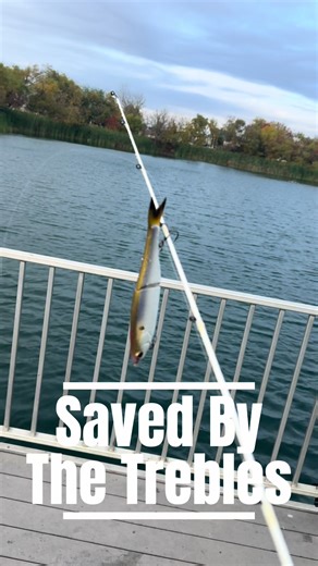 Almost lost the @6th Sense Fishing draw! #6thsensefishing #abugarcia