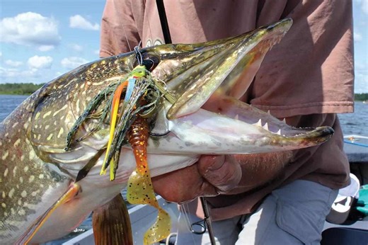 Best Northern Pike Tactics for Great Late-Summer Fishing - Game & Fish