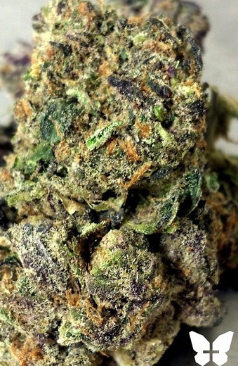 Kryptonite | Marijuana Strain Reviews