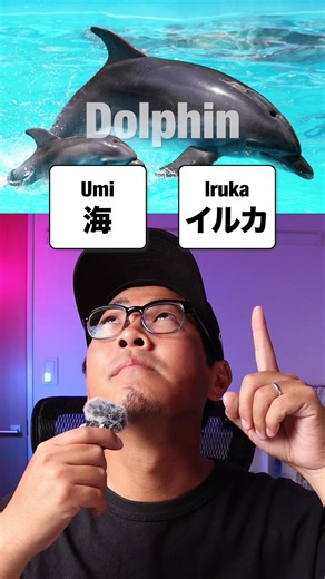 Master Essential Japanese Vocabulary