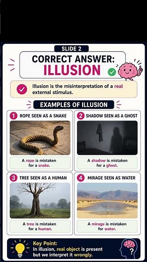 Illusion | Definition, Causes, Signs & Symptoms