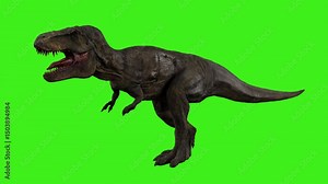 Realistic T-Rex Dinosaur Walk Cycle Animation on Green Screen