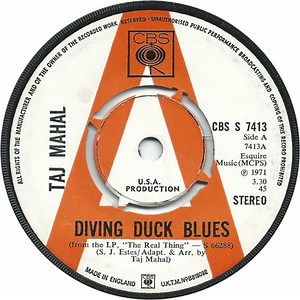 Taj Mahal - Diving Duck Blues