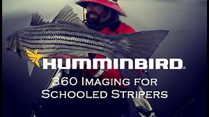4.3K views · 62 reactions | 360 Imaging is a tool that many anglers don't know about, but they should! I've come to love this tool for locating schooled up striped bass. Standard sonar imaging techniques require the kayak/boat to be moving. The opposite is true of 360 imaging, where the transducer spins and the kayak/boat remains stationary. You know exactly where to place the cast using this technique! | Light Tackle Kayak Trolling the Chesapeake Bay | Facebook