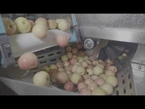 Juice production I SRAML Double Belt Press DTP72