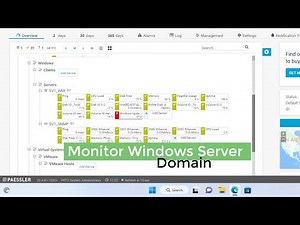 how to monitor Windows Server in Domain