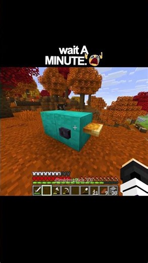 wait A MINUTE...