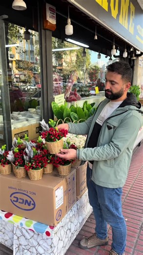 Lady Matmazel Home Adana - Stylish Home Decor