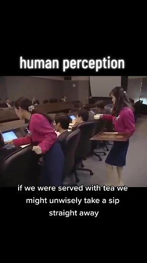 desmond morris... hierarchy!!!! #fyp #foryou #foryoupage #fypage #fy #life #human #knowledge #animal #humanity #bodylanguage #work #business #conformity #hierarchy