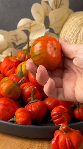 2.6K views · 4 comments | Turkish eggplants are small, round, and...